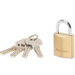 Master Lock 2930D (30mm) Brass Body
